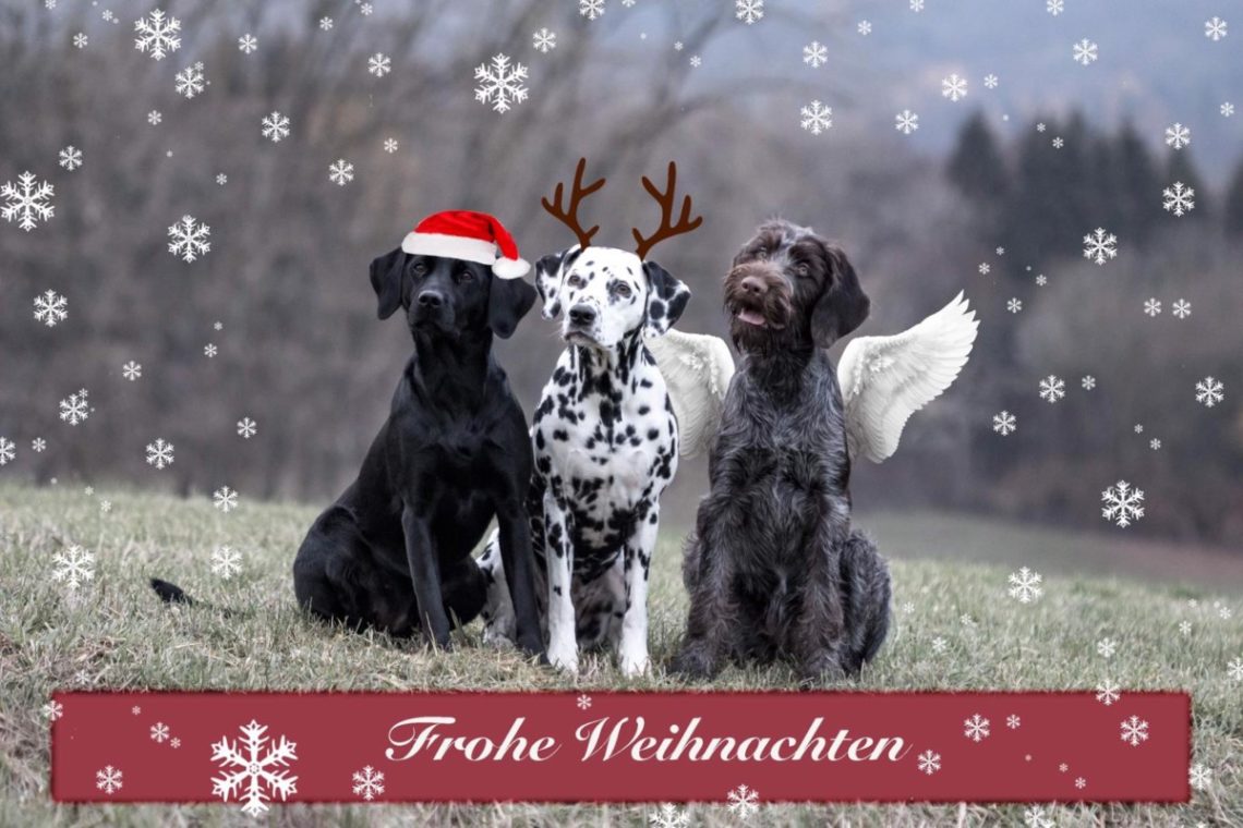 Frohe Weihnachten!